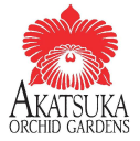 Akatsukaorchid.com