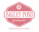 Bagleypondperennials.com