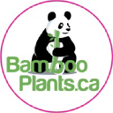 Bambooplants.ca