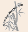 Yellow Groove Bamboo (Phyllostachys aureosulcata) 4 Bambooworld.com