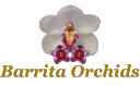 Barritaorchids.com