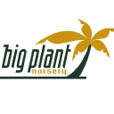 Bigplantnursery.co.uk