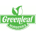 Greenleafnurseries.co.nz