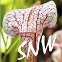 Growcarnivorousplants.com