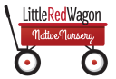 Littleredwagonnativenursery.com