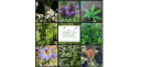 Natureshaven.earth