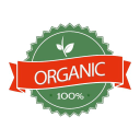 Shingle Oak (Quercus imbricaria) 2 Organicseeds.top