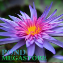 Pondmegastore.com