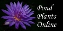 Pondplantsonline.com