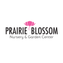 Prairieblossomnursery.com