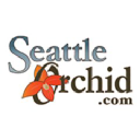 Seattleorchid.com