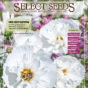 Selectseeds.com