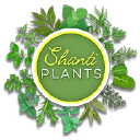 Shantiplants.com