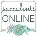 Succulentsonline.com.au