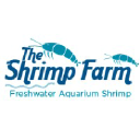 Theshrimpfarm.com