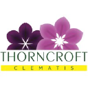 Thorncroftclematis.co.uk